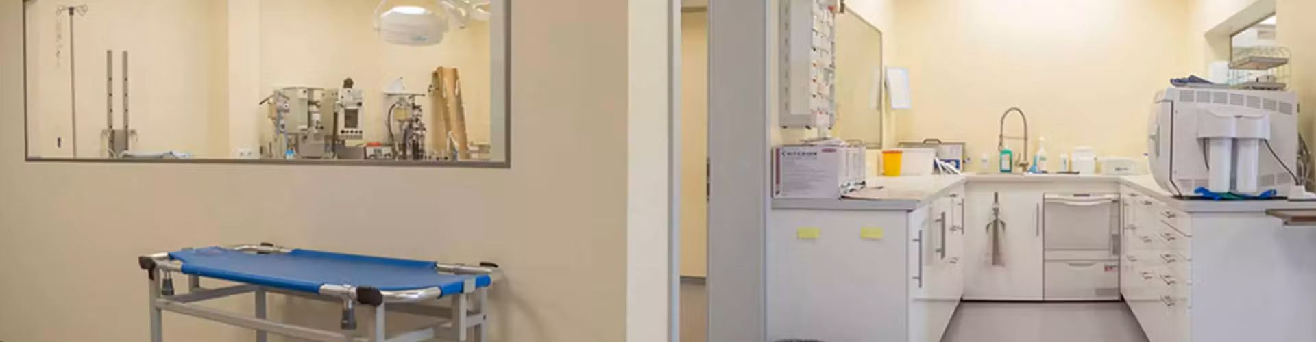 Moderne Tierarztpraxis Speyer